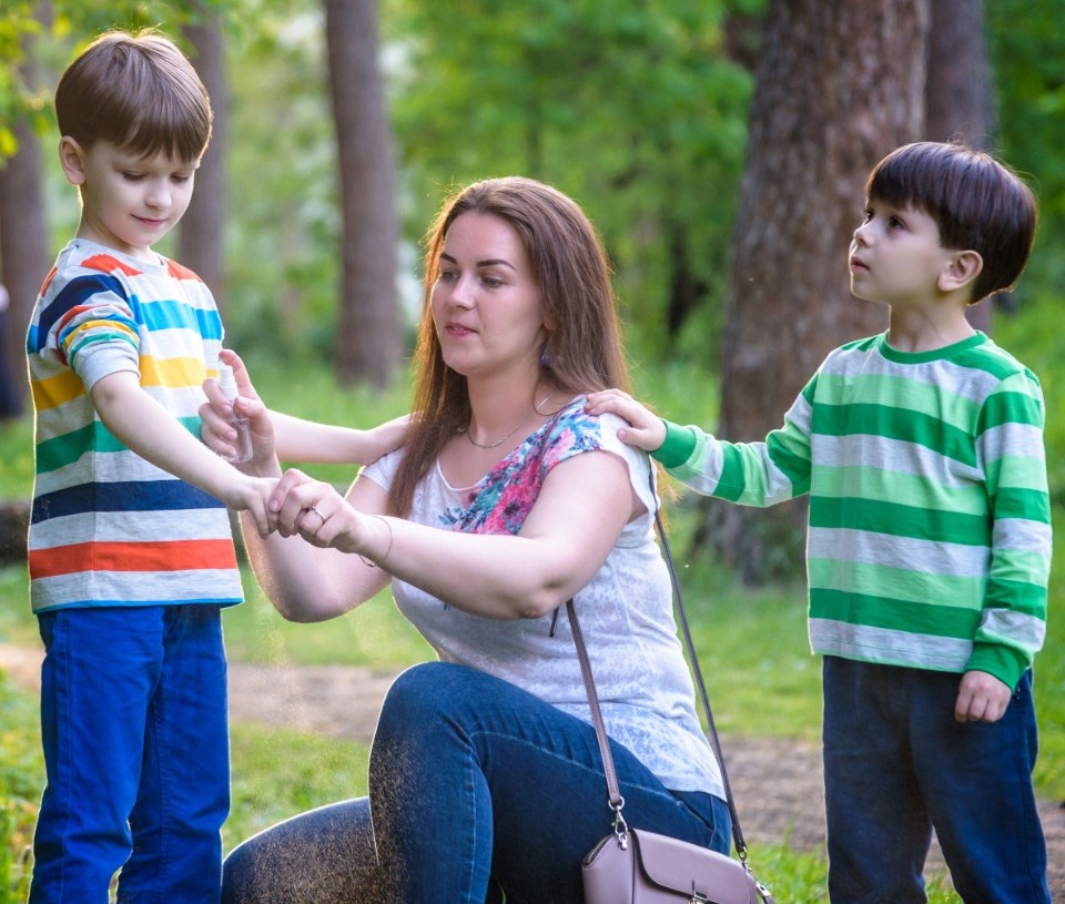 Dog bite injury lawyer protecting a child's future