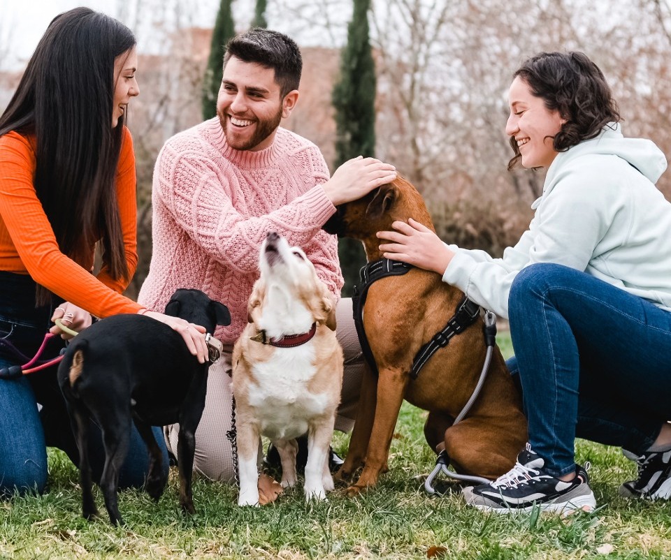 Family and friends with dogs in New Jersey