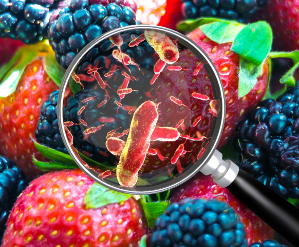 Holding the Food Industry Accountable for Contamination.