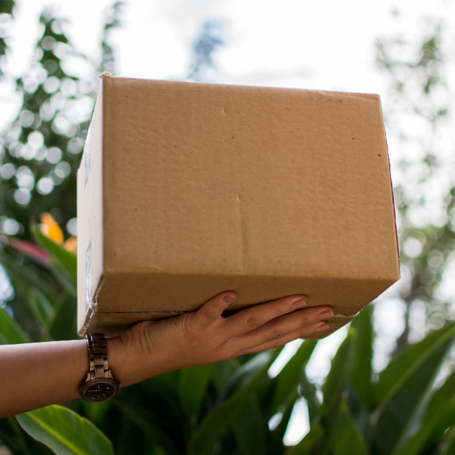 Courier handing over a cardboard package outdoors